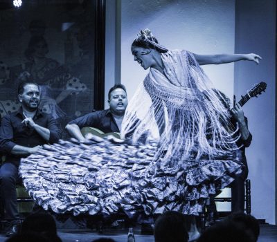 Espectáculo de flamenco en el Tablao El Arenal de Sevilla
